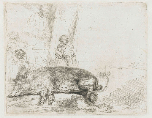 “The Hog” (pencil sketch, 1643)