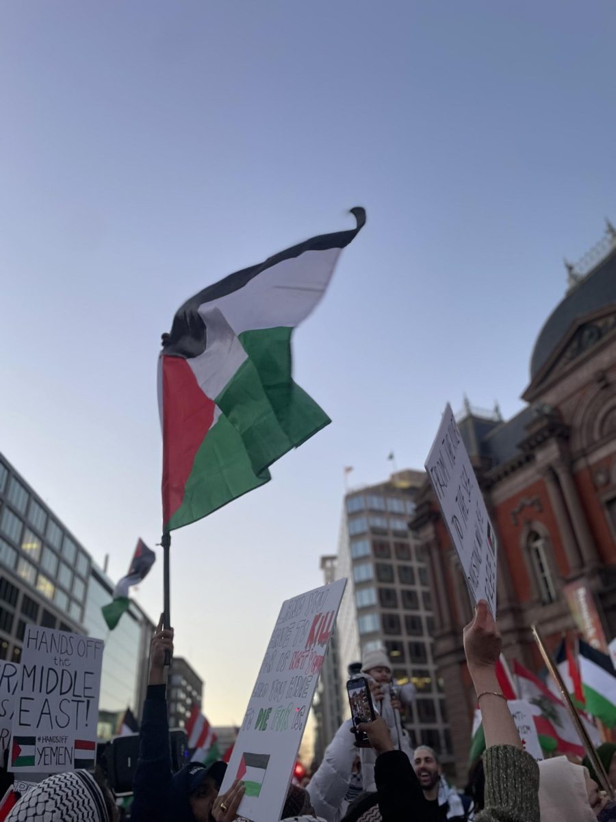 A pro-Palestine protest in Washington, D.C., on January 13, 2024.