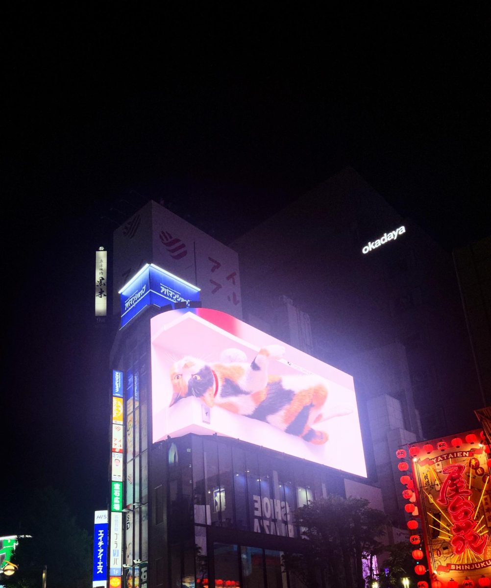 Shinjuku's "Big Cat" tourist attraction.