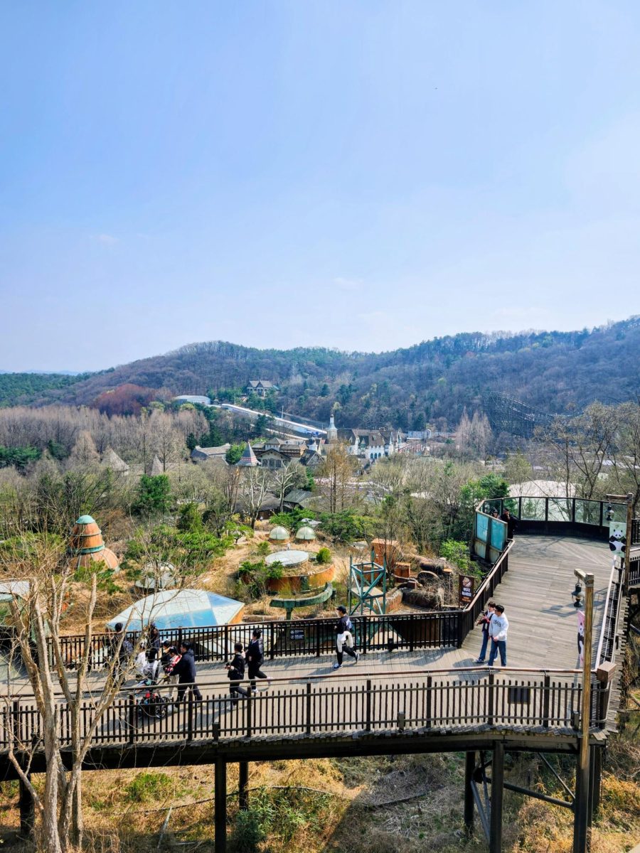 Yongin's Everland theme park features a zoo and amusements.